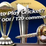 How to Play Cricket? T20, ODI, Test – What’s the Difference?