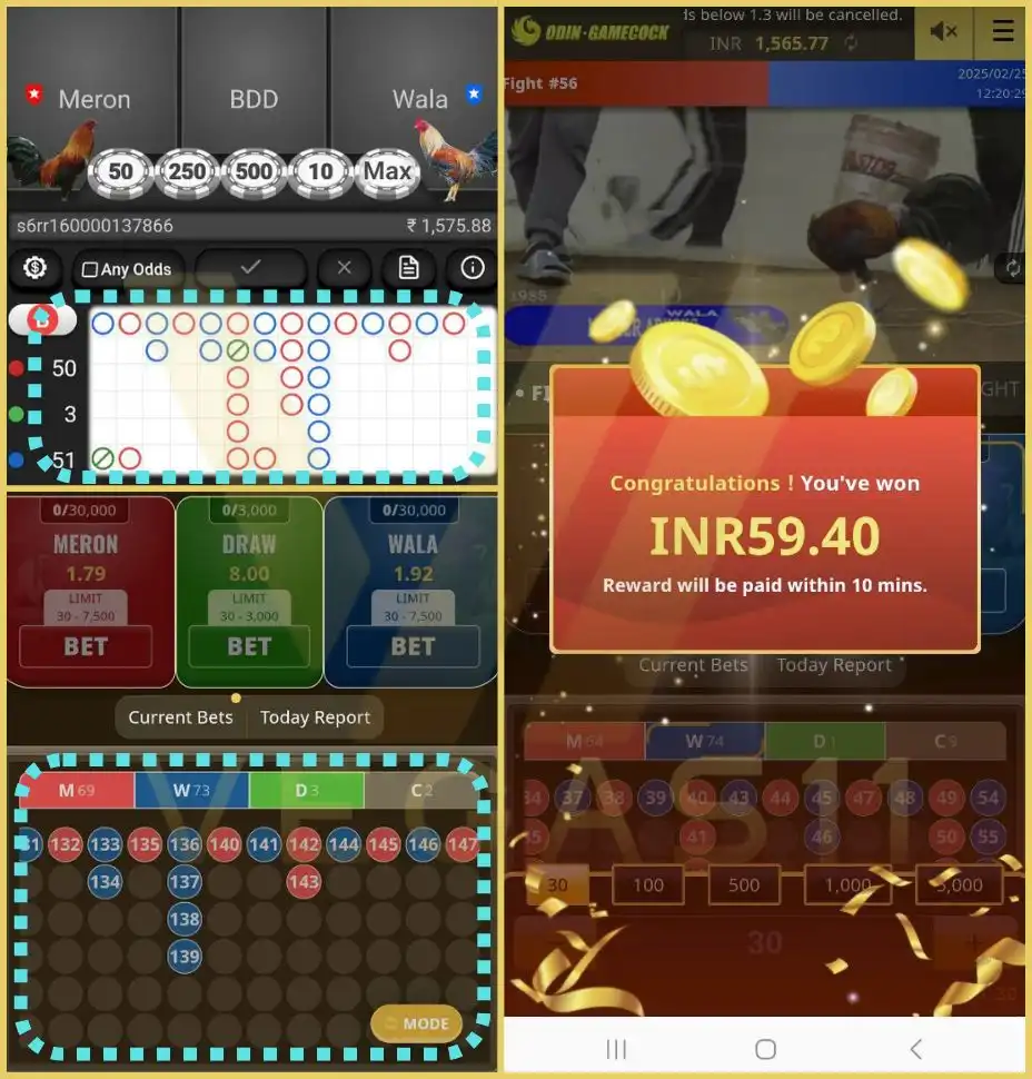 Cockfighting 3 Winning Tips Cockfighting 3 Winning Tips