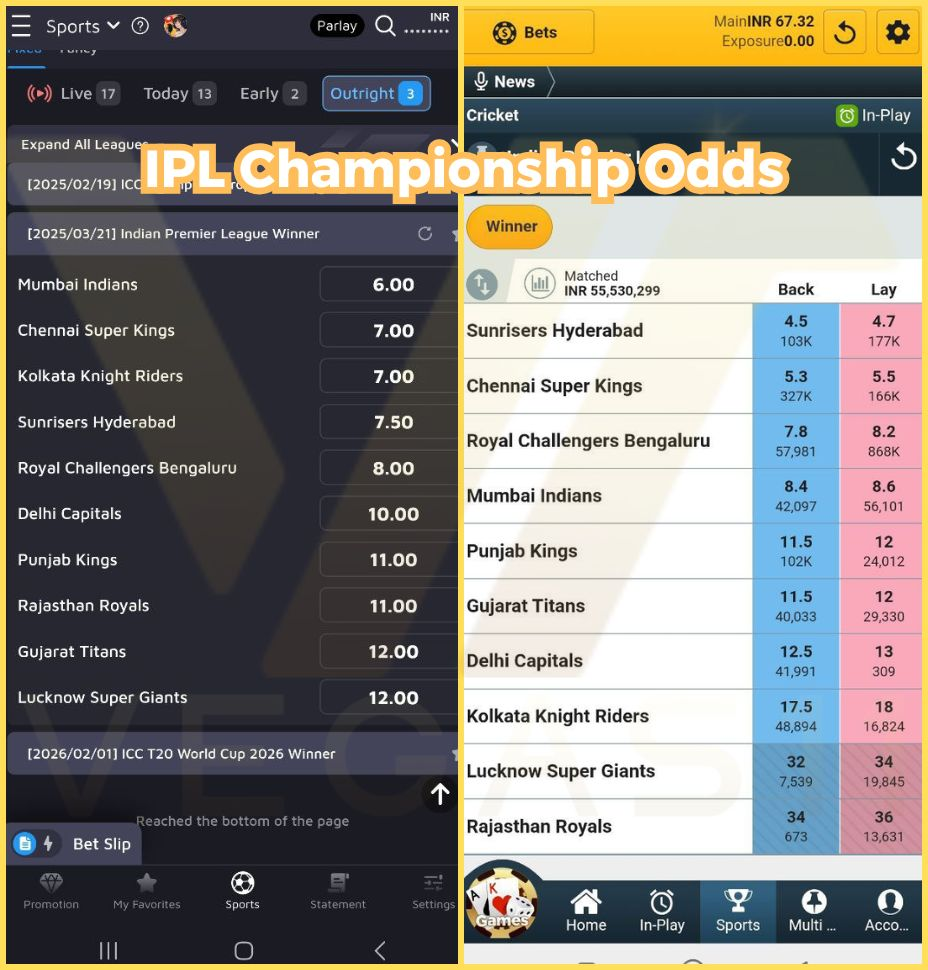IPL Outright Winner Odds on Vegas11