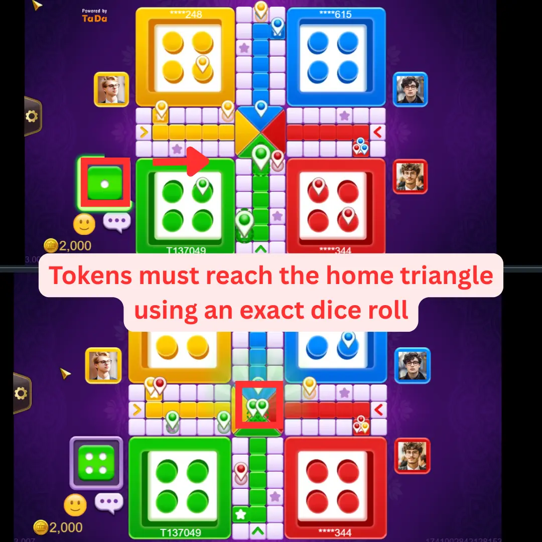 ludo game rules step by step 3