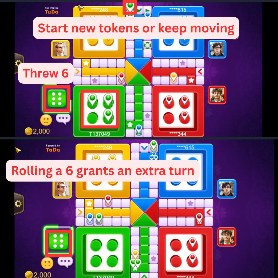ludo game rules step by step