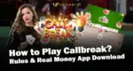 How to Play Callbreak