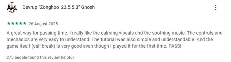 Google Play User Reviews